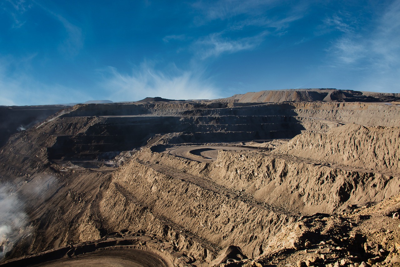 Unveiling the Covered: Deep-sea Mining and the Threat to Unknown Biodiversity